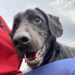 Bern – fotografie 3