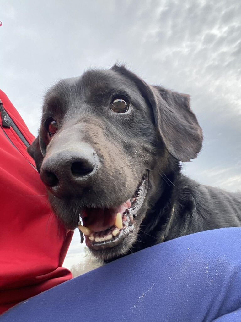 Bern – fotografie 2