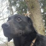 Bern – fotografie 7