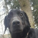 Bern – fotografie 6