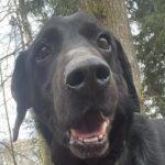 Bern – fotografie 5