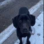 Bern – fotografie 9