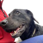 Bern – fotografie 4