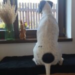 Salina – fotografie 28