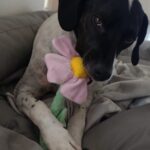 Salina – fotografie 29