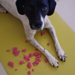 Salina – fotografie 30