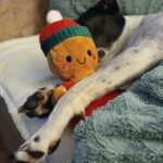 Salina – fotografie 31