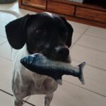 Salina – fotografie 32