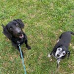 Bern – fotografie 8