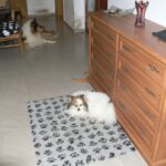 Cloudie – fotografie 18