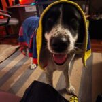 Ferrero – fotografie 26