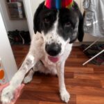 Ferrero – fotografie 28