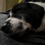 Ferrero – fotografie 29