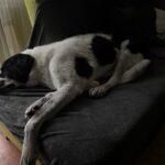 Ferrero – fotografie 30