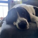 Ferrero – fotografie 31