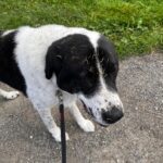 Ferrero – fotografie 32