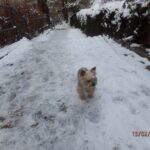 Felix – fotografie 27