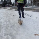 Felix – fotografie 32