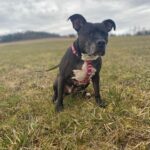 Nora – fotografie 18