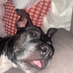 Nora – fotografie 19