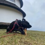 Nora – fotografie 20