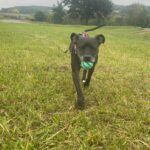 Nora – fotografie 21