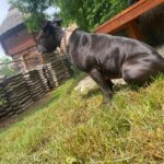 Nora – fotografie 23