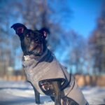 Nora – fotografie 24