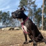 Nora – fotografie 25