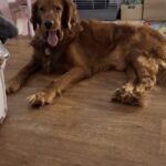 Rocy – fotografie 28