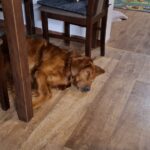 Rocy – fotografie 29