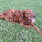 Rocy – fotografie 30