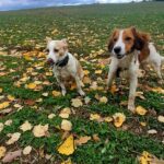 Ťulda – fotografie 22