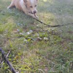 Ťulda – fotografie 23