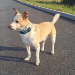 Ťulda – fotografie 24