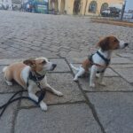 Ťulda – fotografie 25