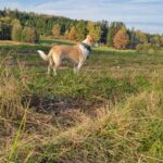 Ťulda – fotografie 26