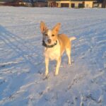 Ťulda – fotografie 27