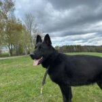 Ann – fotografie 9