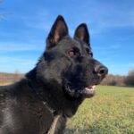 Ann – fotografie 10