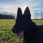 Ann – fotografie 11