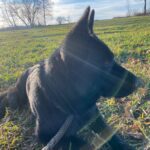 Ann – fotografie 29