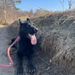 Ann – fotografie 30