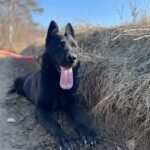 Ann – fotografie 31