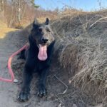 Ann – fotografie 32