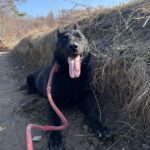 Ann – fotografie 7