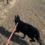 Ann – fotografie 33