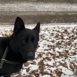 Ann – fotografie 21