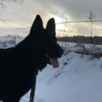 Ann – fotografie 26