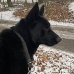 Ann – fotografie 22